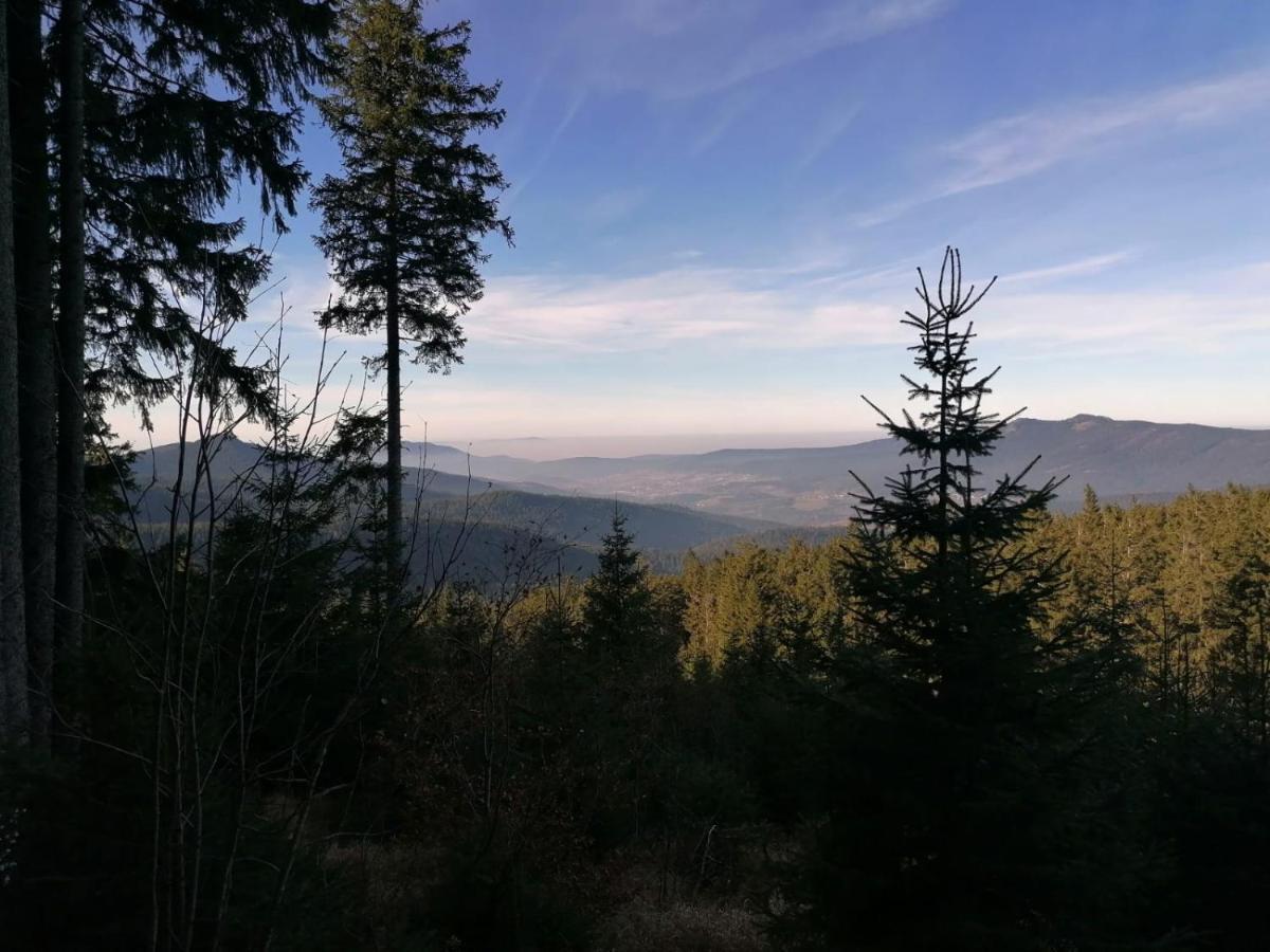 Pension Reindlhoeh Lohberg Exteriér fotografie