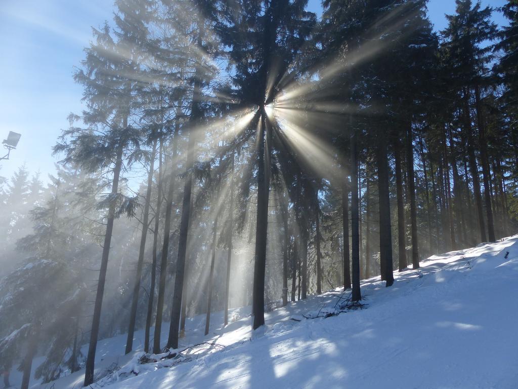 Pension Reindlhoeh Lohberg Exteriér fotografie