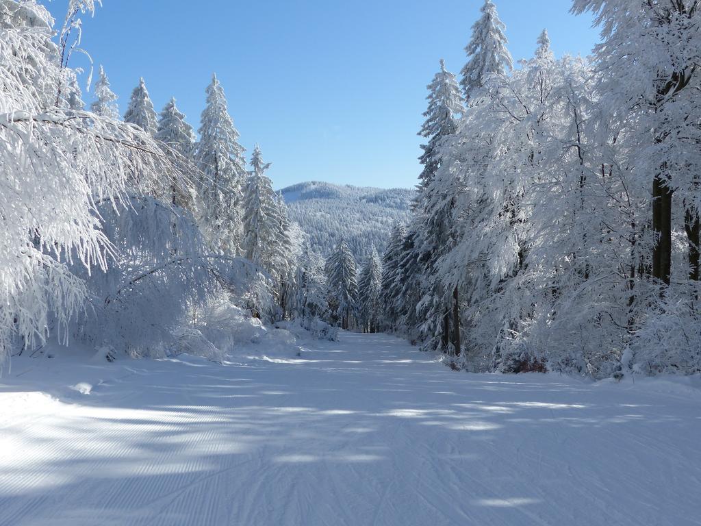 Pension Reindlhoeh Lohberg Exteriér fotografie