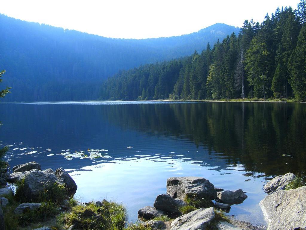Pension Reindlhoeh Lohberg Exteriér fotografie